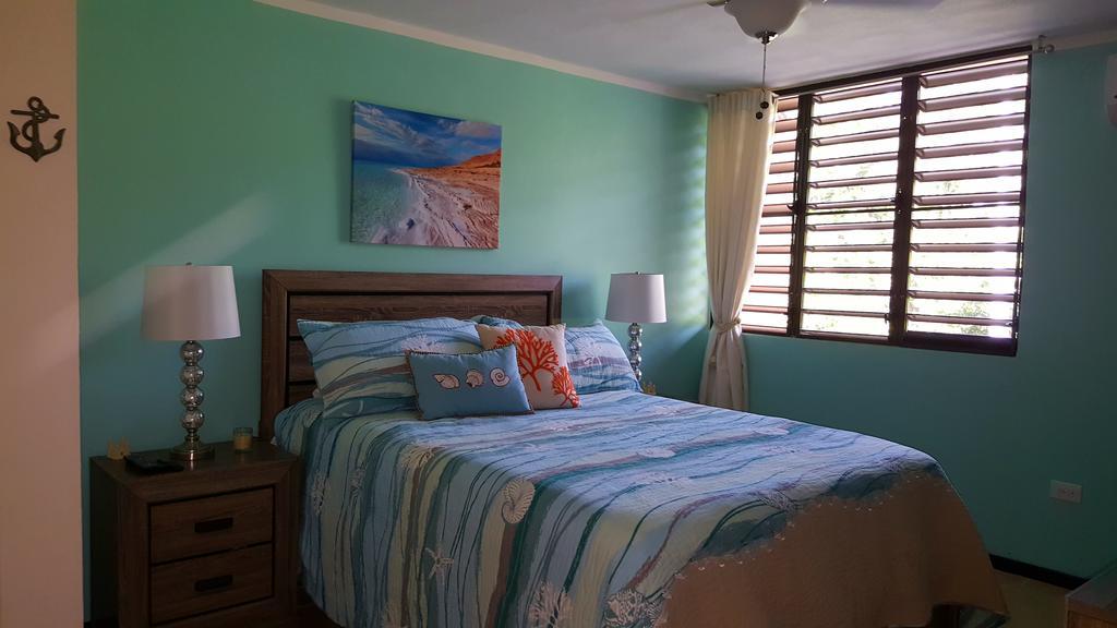 Fully Air-Conditioned Beach Front Penthouse Apartment Naguabo Exterior foto